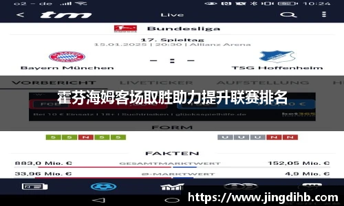 霍芬海姆客场取胜助力提升联赛排名